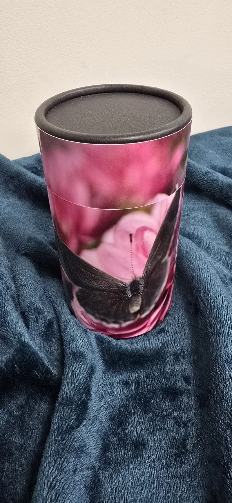 A butterfly in pink