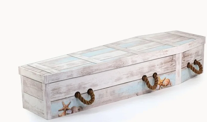 Cardboard coffin
