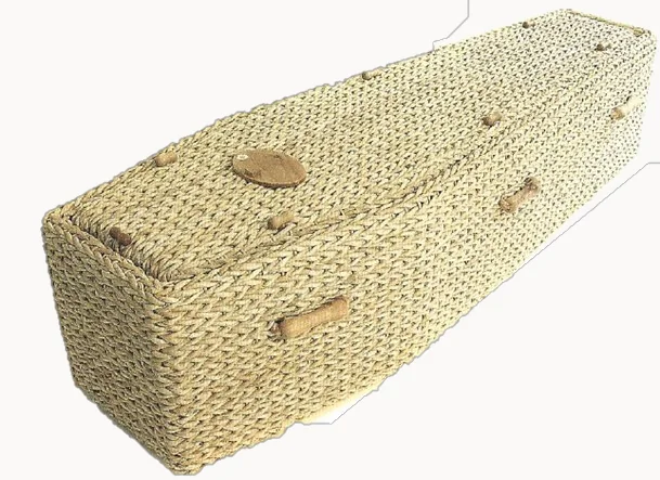 Daisy water hyacinth coffin