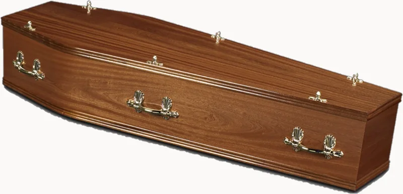 Sault Lincoln coffin