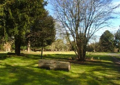 A carved wooden bench on open grass at Michael&rsquo;s Wood, with trees beyond