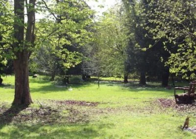 Open grassland within Michael’s Wood, with mature trees and graves set among them