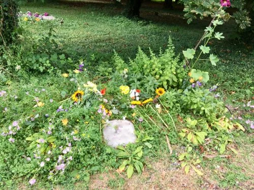 A grave at Michael’s Wood marked with a small flat stone, with cut flowers and wildflowers planted around it